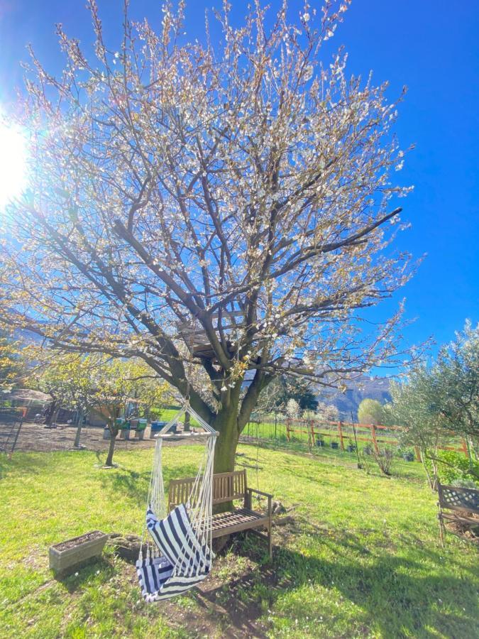 Il Giardino Dei Ciliegi Apartment Colico Luaran gambar