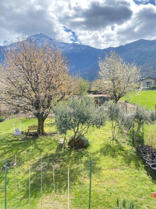 Il Giardino Dei Ciliegi Apartment Colico Luaran gambar