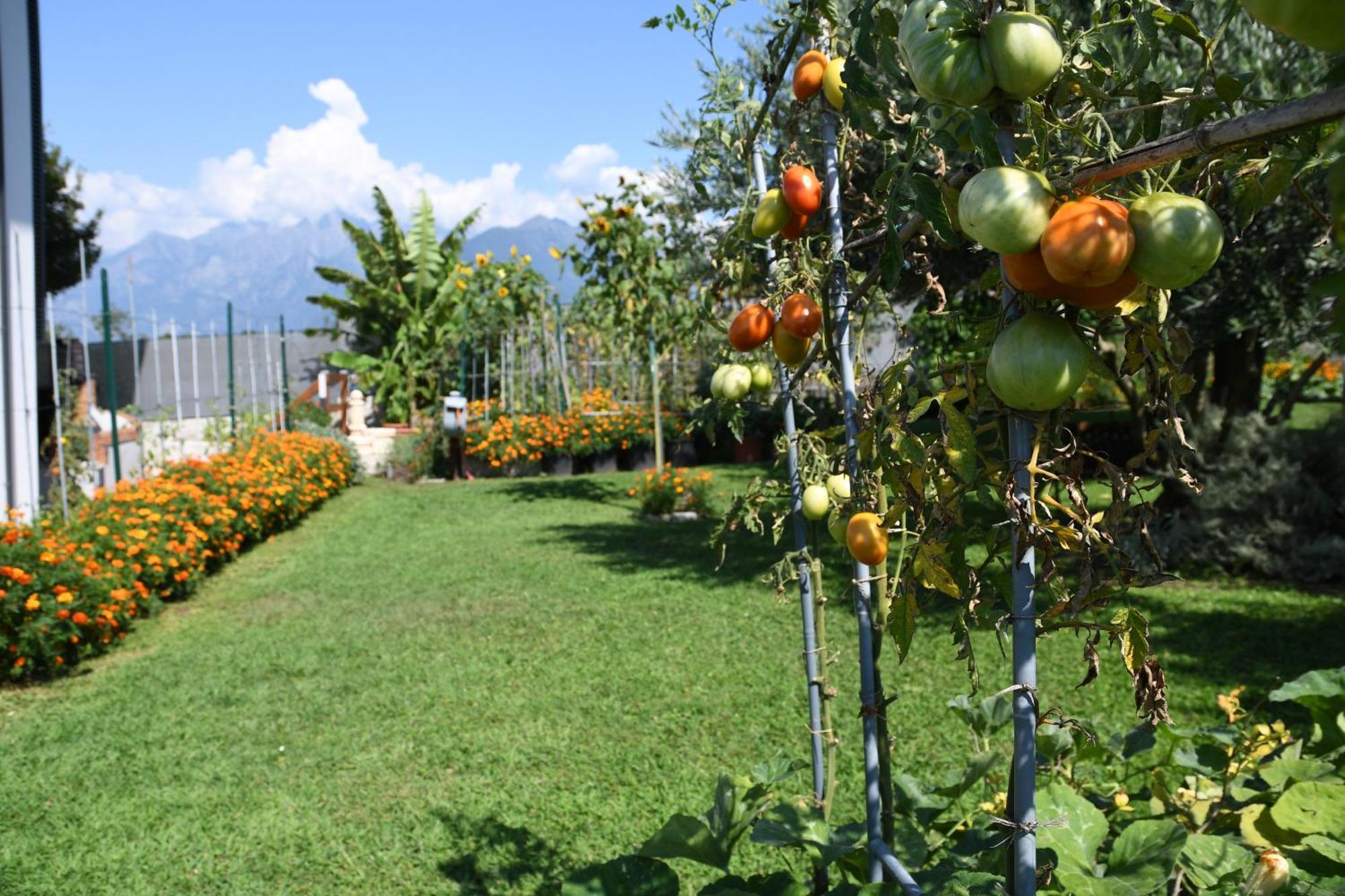Il Giardino Dei Ciliegi Apartment Colico Luaran gambar
